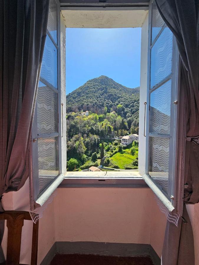 Palazzu Massoni, Magnifique Vue Sur La Mer Et La Montagne, Clim, Wifi, Parking Gratuit Сервион Екстериор снимка